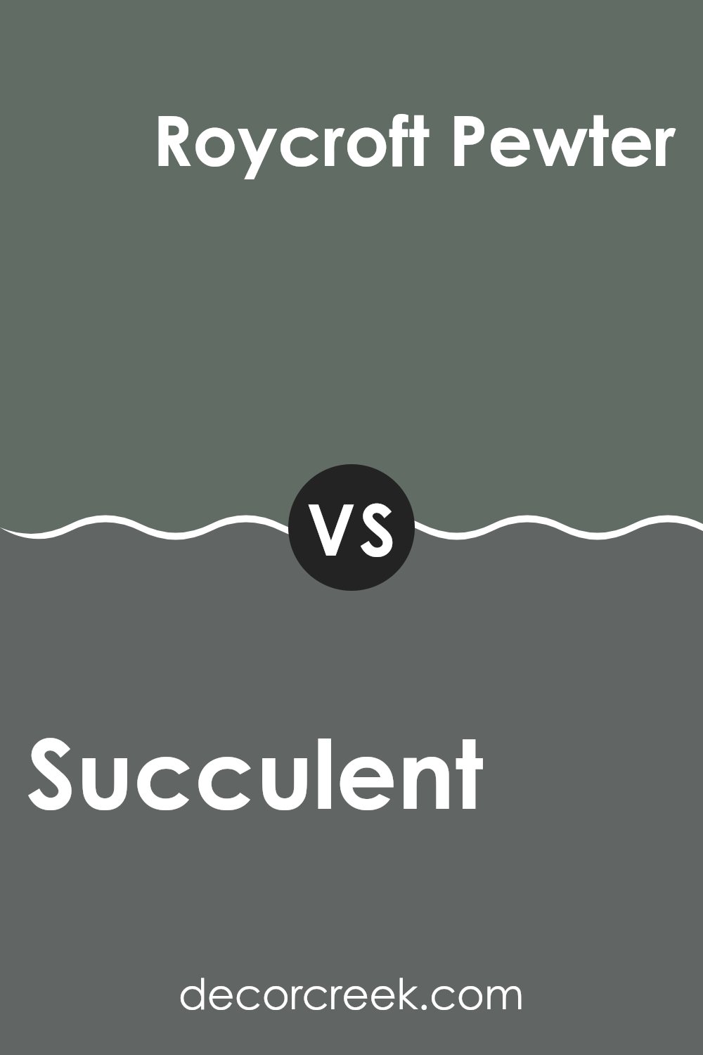 succulent_sw_9650_vs_roycroft_pewter_sw_2848