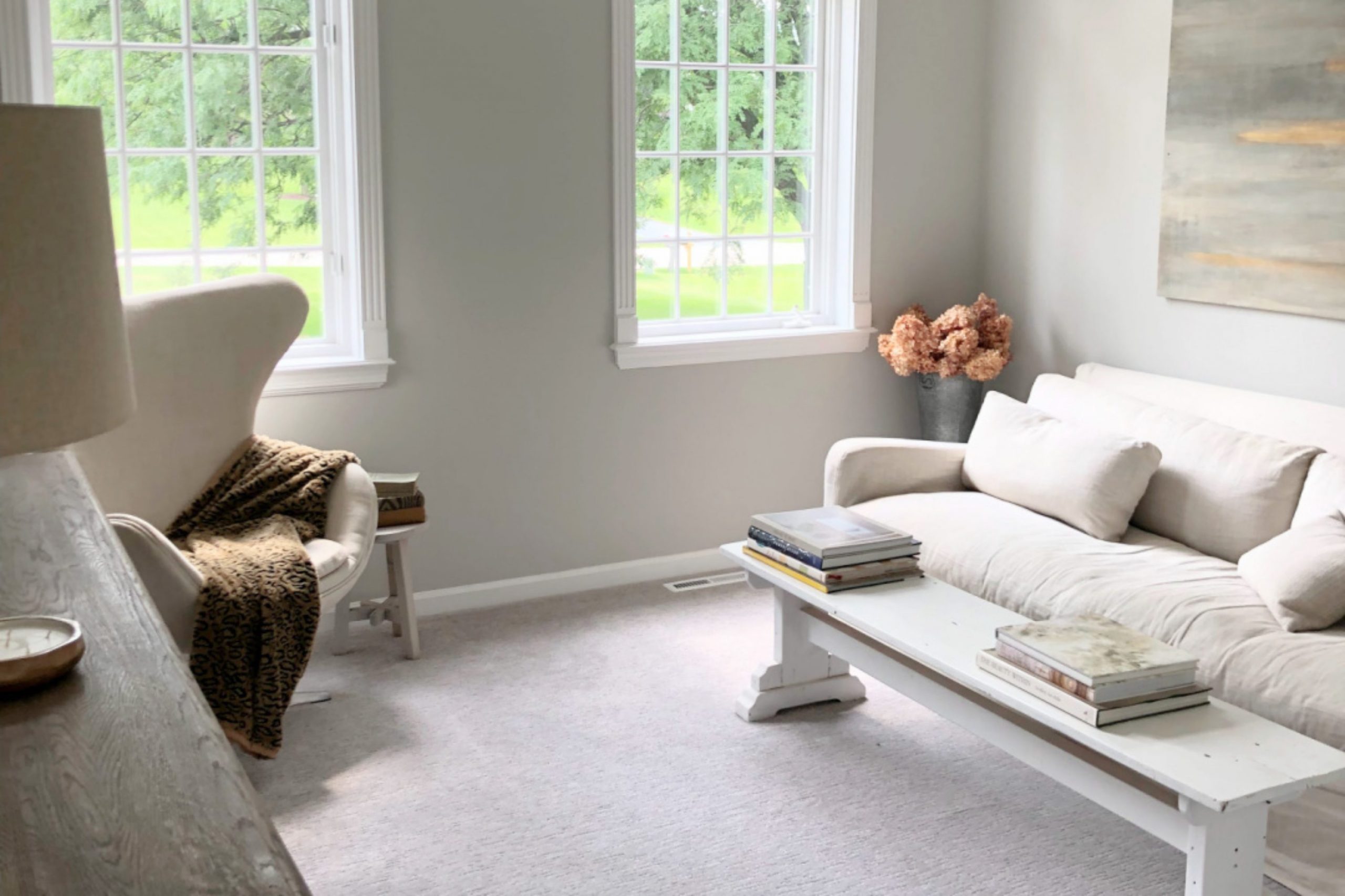 28 Best Colors That Goes With Repose Gray by Sherwin Williams for Your Home