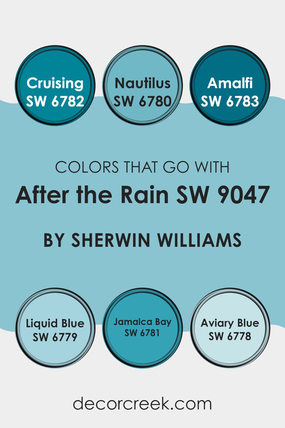 colors_that_go_with_after_the_rain_sw_9047