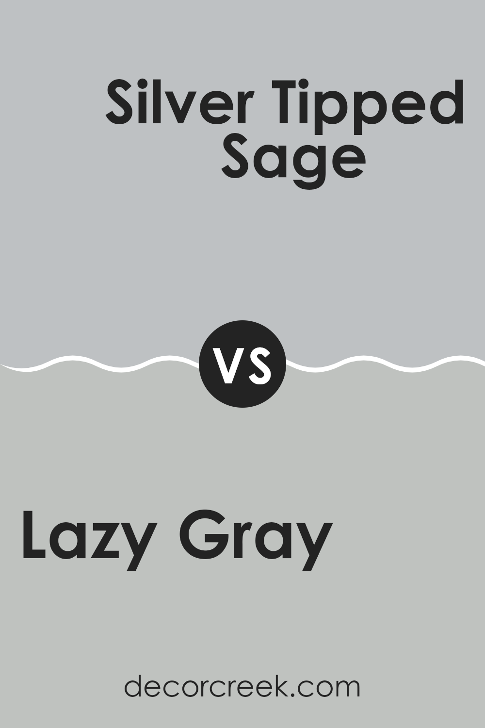 lazy_gray_sw_6254_vs_silver_tipped_sage_sw_9642